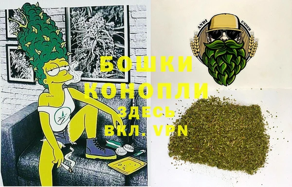 PSILOCYBIN Горняк