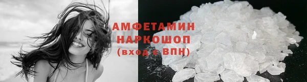 PSILOCYBIN Горняк