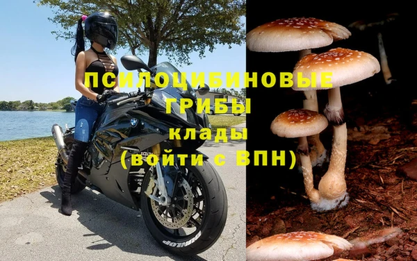 эйфоретик Горнозаводск