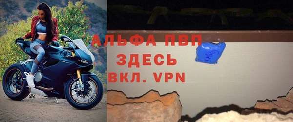PSILOCYBIN Горняк